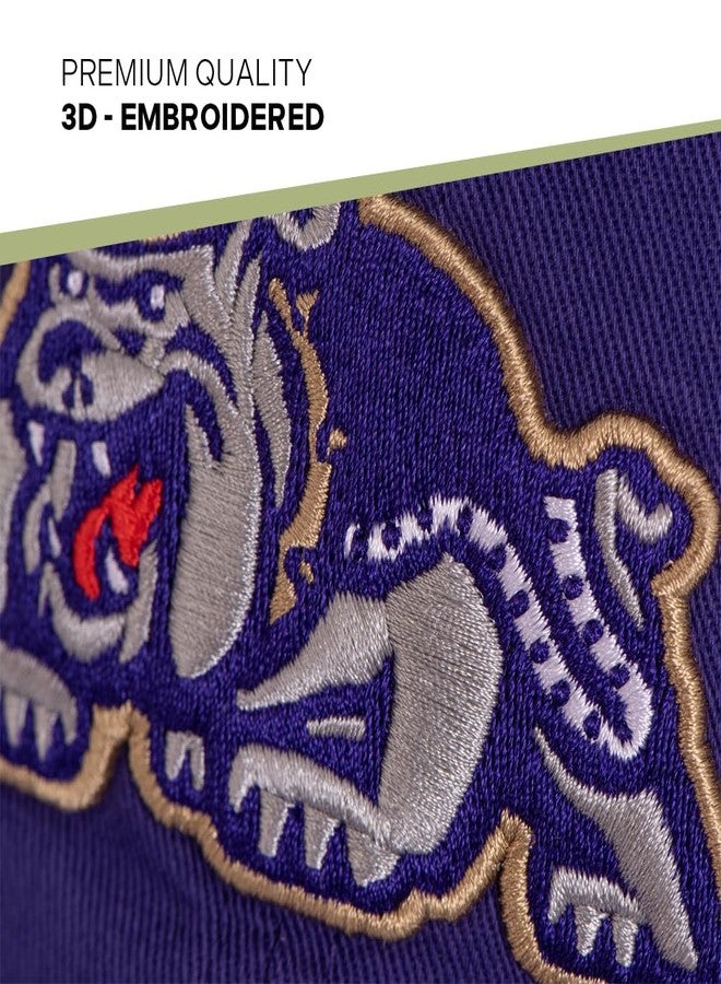 Desert Cactus James Madison University Baseball Hat Dukes JMU Brimmed Embroidered Hats Cap Adjustable Cloth Strap Adult (Style D) Purple - Image 4