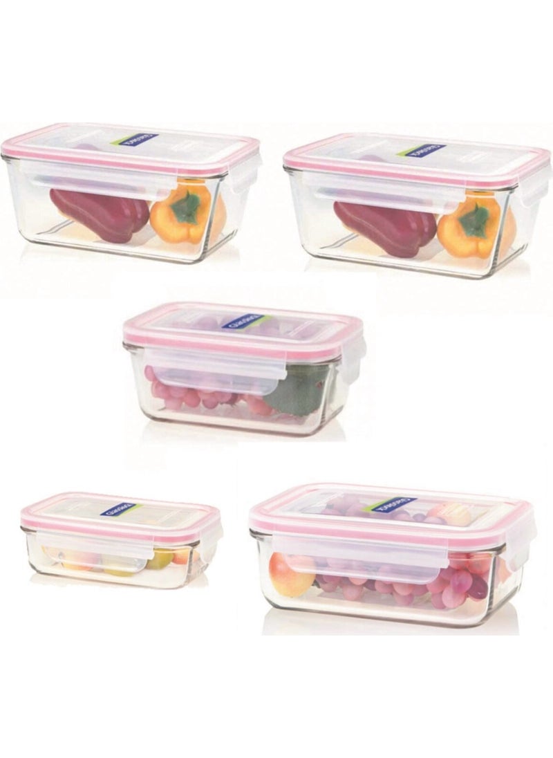 5 Piece Storage Container - pzsku/Z385193FB85D606F2BF82Z/45/_/1725614000/cbe8f375-bf8f-425f-99a2-13874789ae7d