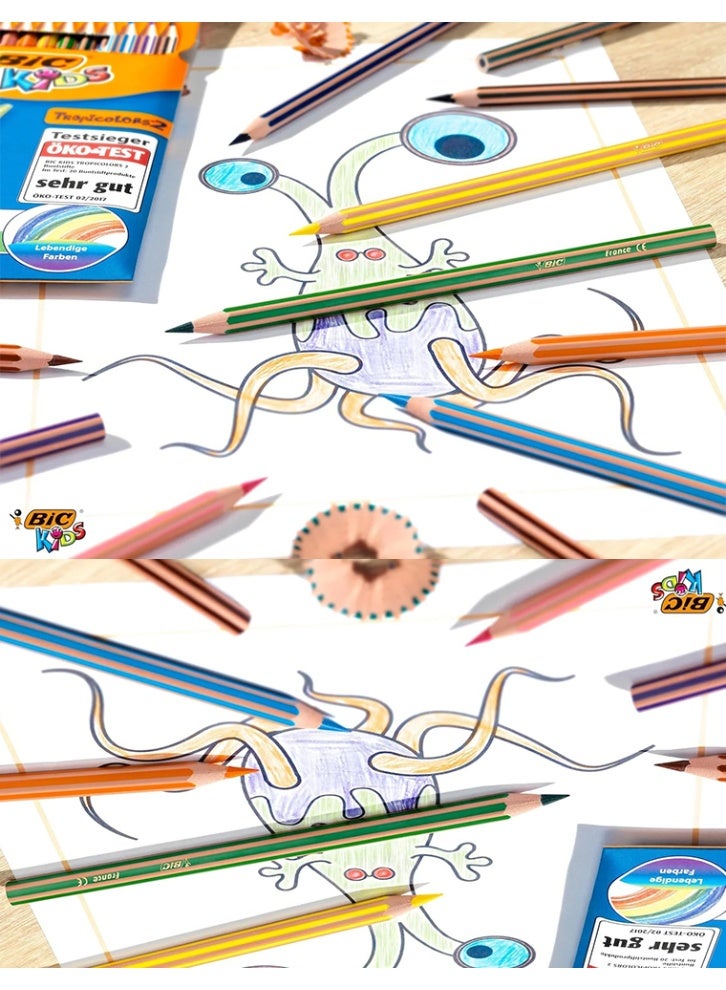 BIC Kids Evolution Stripes Colouring Pencils, Easy to Sharpen, Assorted Colours (Pack 12) - Image 2