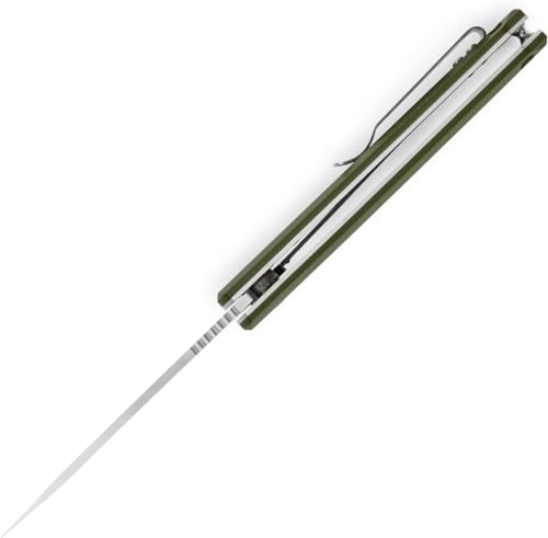 Buck Knives 251 Langford Folding Ball Bearing Flipper Liner Lock Pocket Knife with Removable Clip (Green) - Image 4