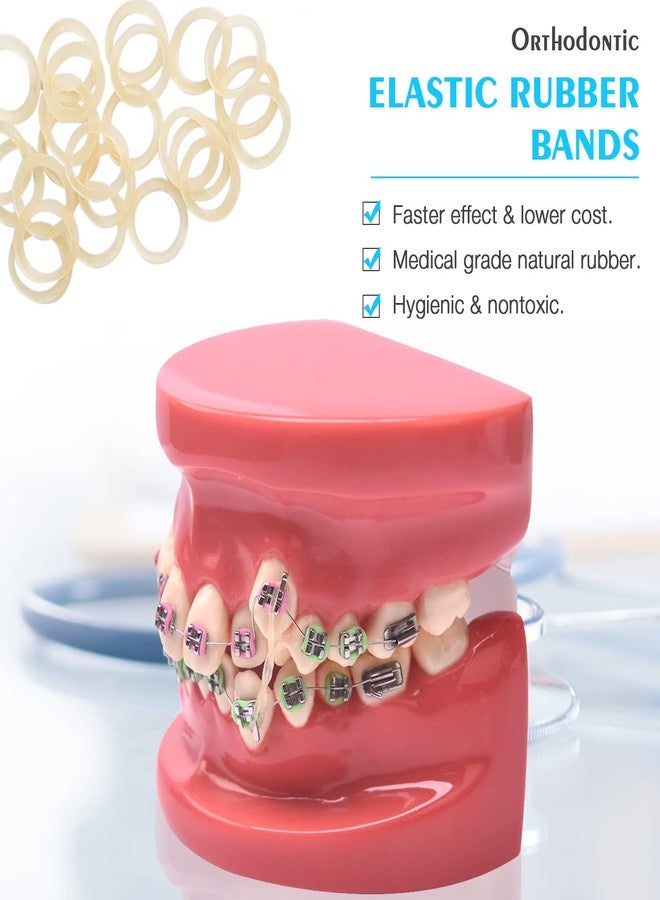 ANNWAH 500 pcs Rubber Bands for Braces,elastics for braces Fox 4.5 Ounces,Heavy Rubber Traction Bands 1/4" (100 Pieces/Pack - Image 4