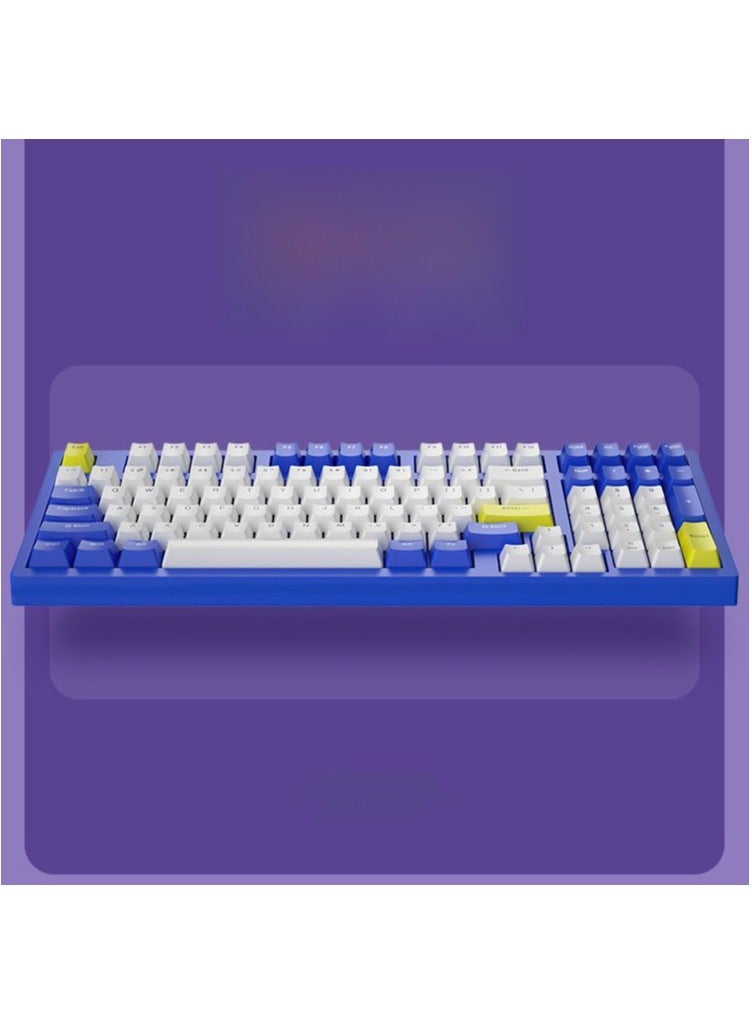 Forev - Gaming Keyboard – 98% Compact USB / USB Type-C Wired Mechanical Keyboard – RGB Backlighted – 98 ENG Keys PBT Keycaps – Blue Switches – For Mac / Win | Blue ,White - Image 1