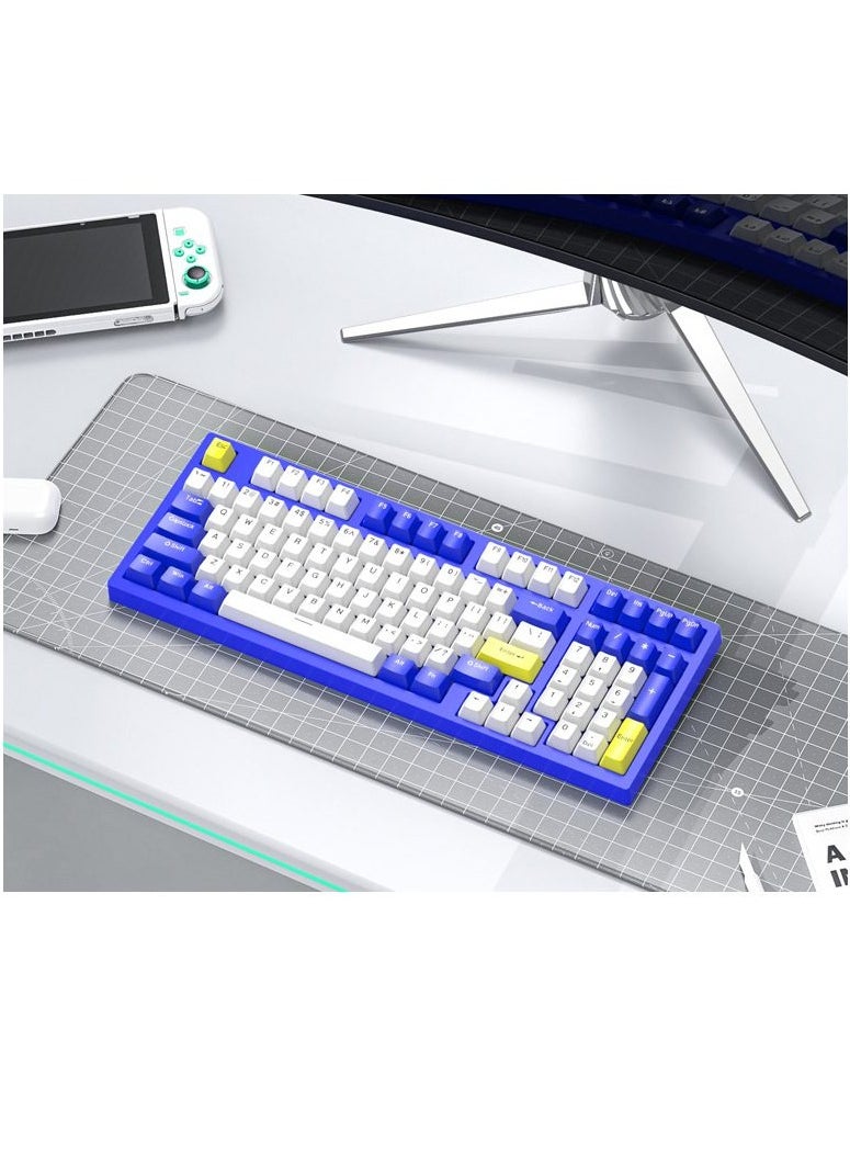 Forev - Gaming Keyboard – 98% Compact USB / USB Type-C Wired Mechanical Keyboard – RGB Backlighted – 98 ENG Keys PBT Keycaps – Blue Switches – For Mac / Win | Blue ,White - Image 1