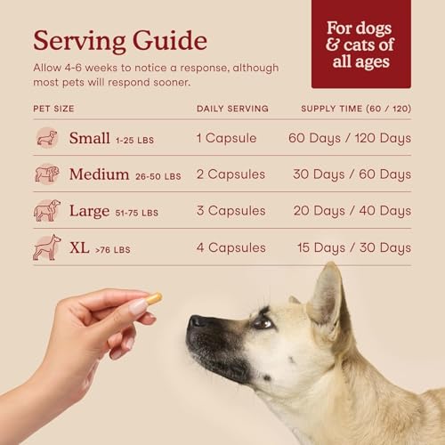 Fera Pets Cardiac Support - Cat & Dog Heart Supplement with Taurine, L-Carnitine, & CoQ10 - Promotes Normal Circulation and Heartbeat - 60 Capsules - Image 4