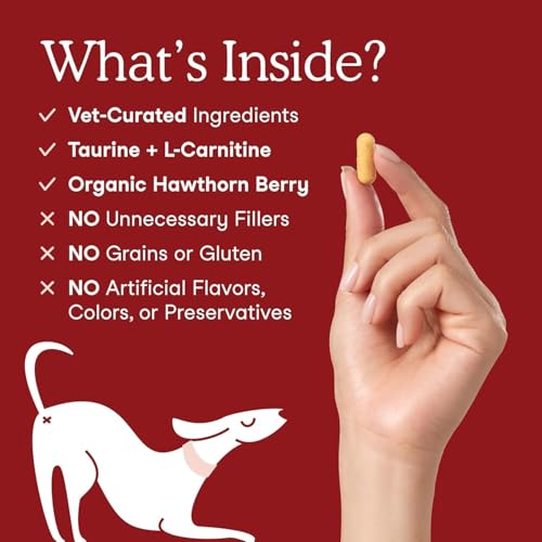 Fera Pets Cardiac Support - Cat & Dog Heart Supplement with Taurine, L-Carnitine, & CoQ10 - Promotes Normal Circulation and Heartbeat - 60 Capsules - Image 3