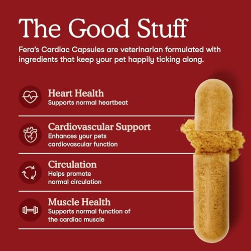 Fera Pets Cardiac Support - Cat & Dog Heart Supplement with Taurine, L-Carnitine, & CoQ10 - Promotes Normal Circulation and Heartbeat - 60 Capsules - Image 2