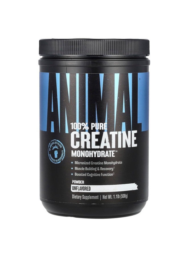 ANIMAL كرياتين حيواني ميكرونيزيد، مسحوق أحادي الهيدرات، بدون نكهة، 1.1 رطل (500 جرام) - Image 1