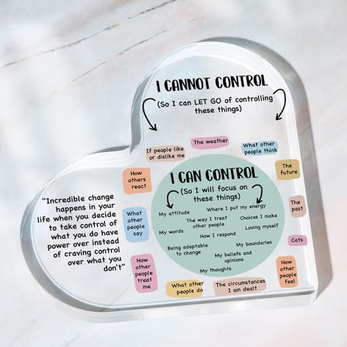 UBLURO Mental Health Things I Can Control Decor, Mindfulness Decor for Therapy Office Acrylic Heart Gifts, School Counselor Sign Therapist Office Art Decorations for Therapist Office Living Room Bedroom Gift - Image 5