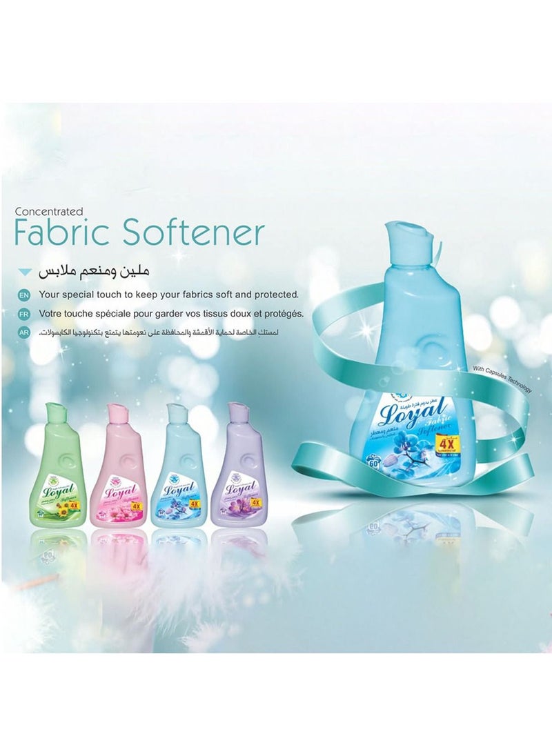 loyal - Fabric Softener & Freshener Concentrated, Purple Passion, 30 Washes 750ml - Image 1