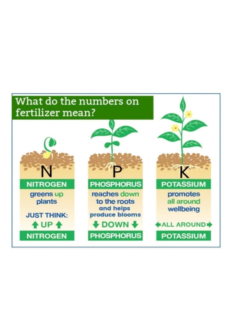 ديزيرت إنرجي سماد ديزرت إنرجي الممتاز NPK 12-12-17 / للاستخدام في دول مجلس التعاون الخليجي. الخيار الأمثل للنباتات الداخلية والخارجية. - Image 5