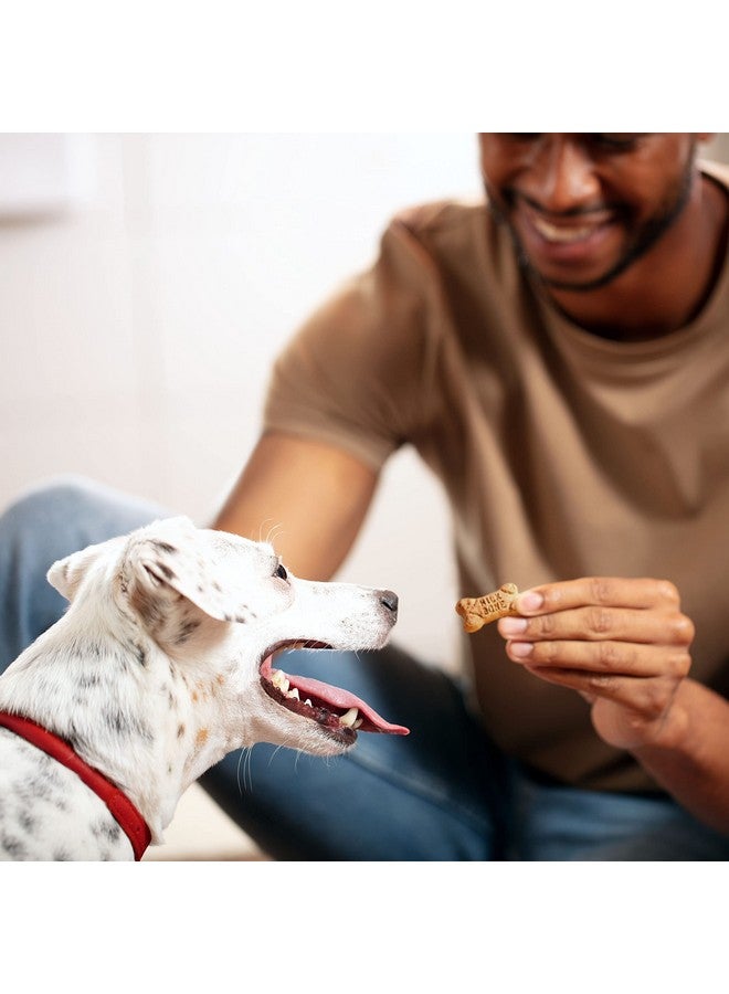 ميلك-بون وجبات خفيفة بنكهة ميني للكلاب، عبوات إعادة تعبئة 35 أونصة (عبوة من قطعتين) قوام مقرمش يساعد على تقليل الجير - Image 5