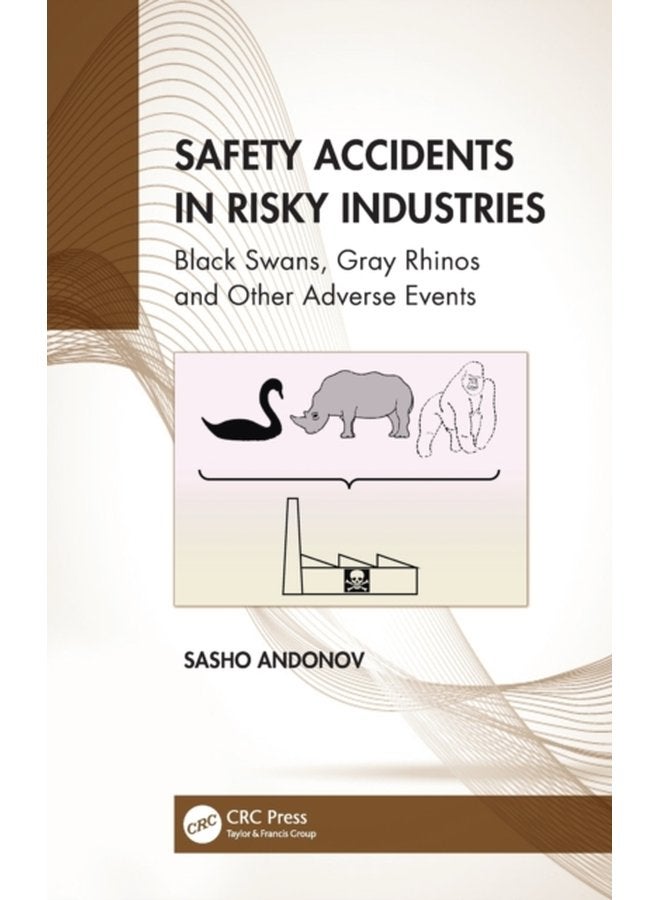 Safety Accidents in Risky Industries Black Swans Gray Rhinos and Other Adverse Events - Hardback