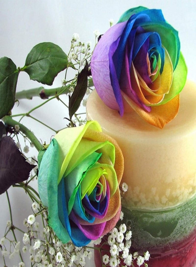 جي جوت بذور للزراعة، 100 قطعة من بذور زهرة الورد الملونة لحديقة المنزل، نباتات بونساي معمرة للزينة - بذور الورد - Image 4