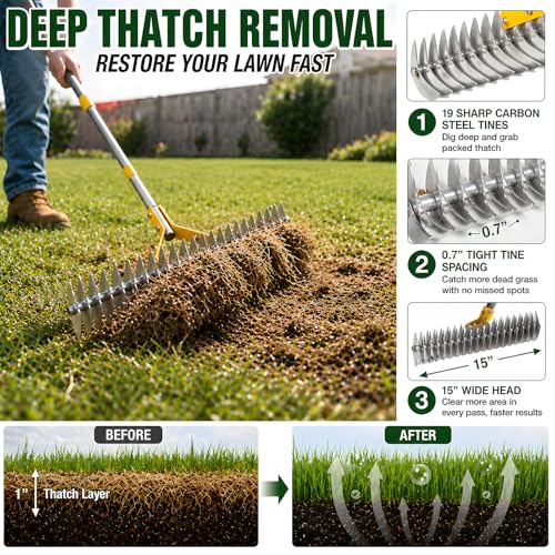 Wefaith Heavy Duty Thatch Rake for Lawns, 15" Dual-Sided Dethatching Rake with Sharp Steel Tines, Manual Dethatcher and Scarifier Tool for Dead Grass, Moss & Thatch Removal, 70" Adjustable Long Handle - Image 2