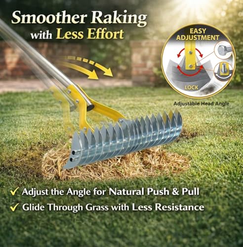 Wefaith Heavy Duty Thatch Rake for Lawns, 15" Dual-Sided Dethatching Rake with Sharp Steel Tines, Manual Dethatcher and Scarifier Tool for Dead Grass, Moss & Thatch Removal, 70" Adjustable Long Handle - Image 5