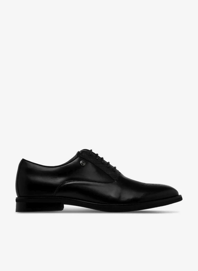 DUCHINI Men Lace-Up Oxford Shoes