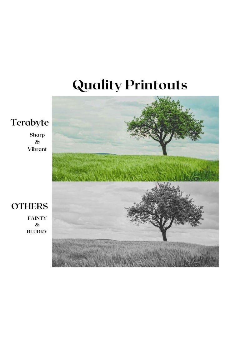 Terabyte TONER CARTRIDGE TN223 YELLOW - Image 2