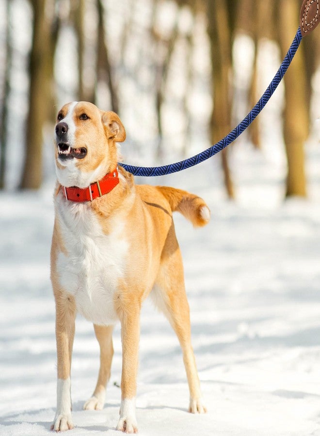 مايل هاي لايف حبل مقود من Mile High Life مع وصلة من الجلد الطبيعي، 6 أقدام/5 أقدام/4 أقدام، حبل مقود شديد التحمل للكلاب المتوسطة والكبيرة (أزرق، 48 بوصة) - Image 2