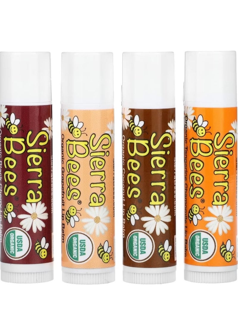 Organic Lip Balm Variety Pack 4 Pack 0.15 oz (4.25 g) Each - pzsku/Z385F514B406B71E5387DZ/45/_/1700318210/1639c589-d182-4df4-9ba2-154fdf4d6616