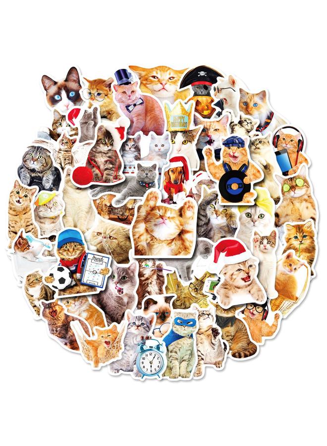 Bluejw 200 Realistic Cat Stickers Mori Realistic Kitty Sticker PVC Waterproof Notebook Stickers - Image 1