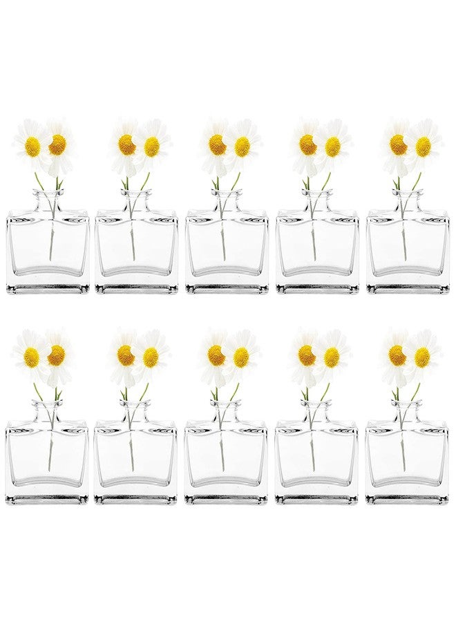 CHIVE ‘Loft’ Small Mini Flower Vases - Clear Glass Bud Vases, Set of 10 - Cute Vintage Rustic Centerpieces for Wedding, Events & Home - Premium Quality, Designed to Last - Image 1