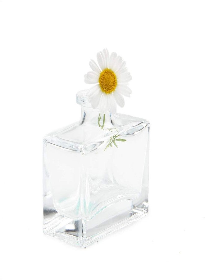 CHIVE ‘Loft’ Small Mini Flower Vases - Clear Glass Bud Vases, Set of 10 - Cute Vintage Rustic Centerpieces for Wedding, Events & Home - Premium Quality, Designed to Last - Image 5