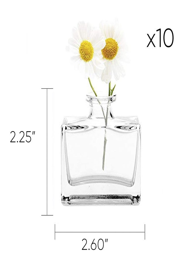 CHIVE ‘Loft’ Small Mini Flower Vases - Clear Glass Bud Vases, Set of 10 - Cute Vintage Rustic Centerpieces for Wedding, Events & Home - Premium Quality, Designed to Last - Image 2