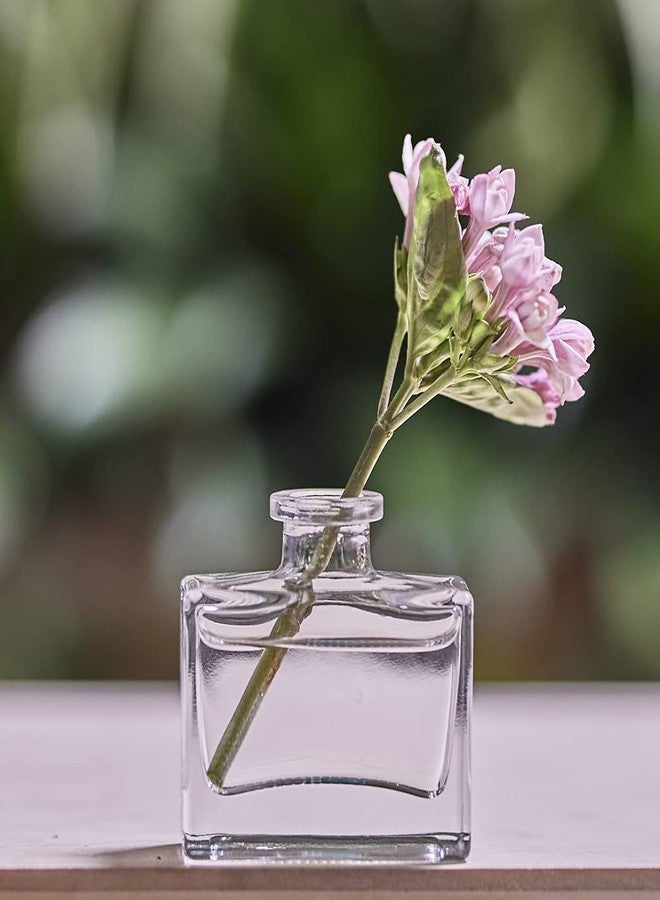 CHIVE ‘Loft’ Small Mini Flower Vases - Clear Glass Bud Vases, Set of 10 - Cute Vintage Rustic Centerpieces for Wedding, Events & Home - Premium Quality, Designed to Last - Image 4