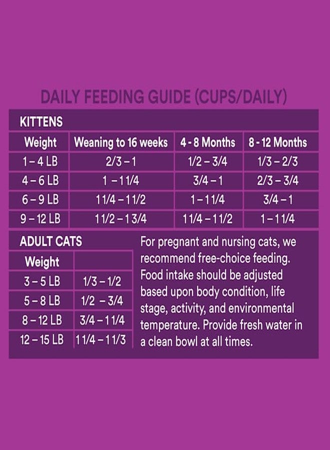 WholeHearted Grain Free Turkey Formula Dry Cat Food 3 lbs. - Image 5