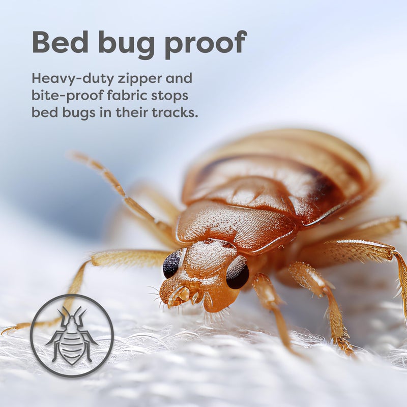 HOSPITOLOGY PRODUCTS HOSPITOLOGY PRODUCTS Mattress Encasement - Zippered Bed Bug Dust Mite Proof Hypoallergenic - Sleep Defense System - Queen - Waterproof - Stretchable - Low Profile 9" Depth - 60" W x 80" L  - Image 4