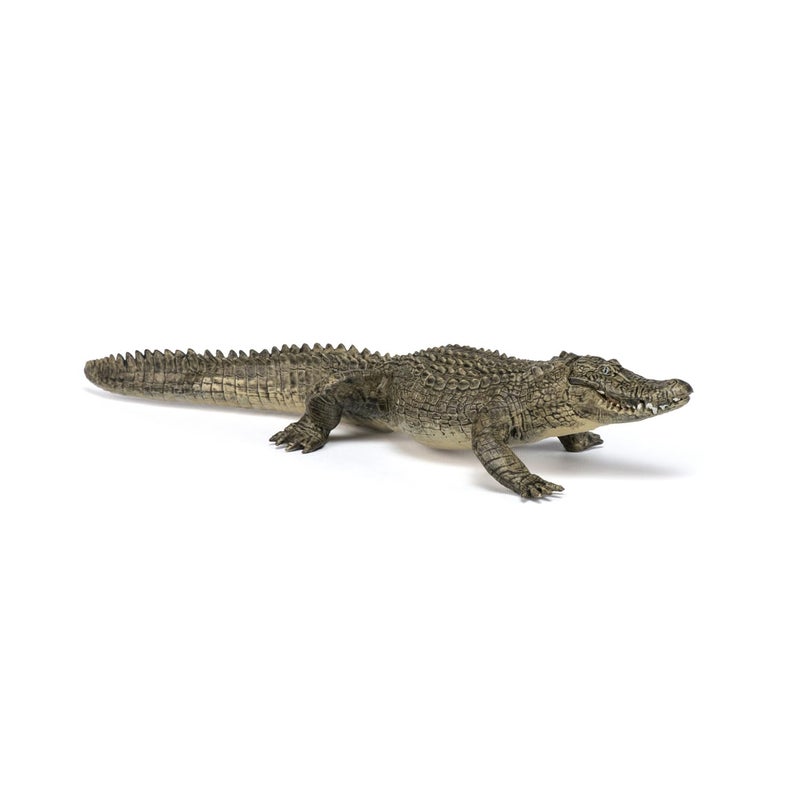 Papo -Hand-Painted - Figurine -Wild Animal Kingdom - Alligator -50254 -Collectible - for Children - Suitable for Boys and Girls- from 3 Years Old - Image 3