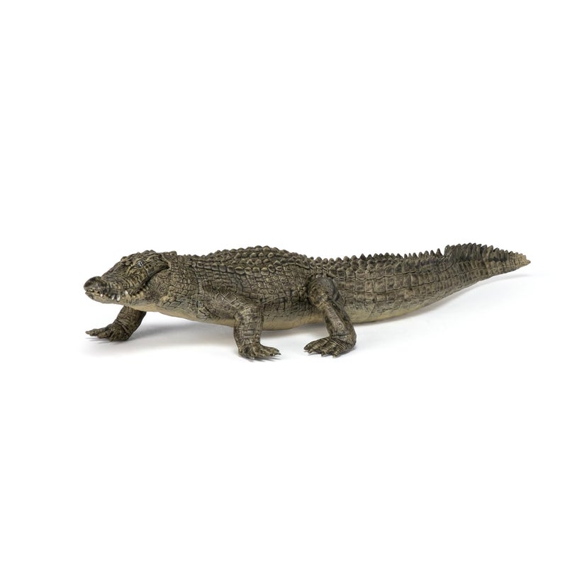 Papo -Hand-Painted - Figurine -Wild Animal Kingdom - Alligator -50254 -Collectible - for Children - Suitable for Boys and Girls- from 3 Years Old - Image 5