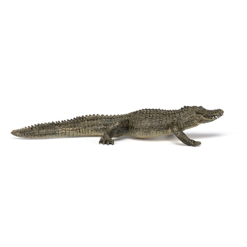 Papo -Hand-Painted - Figurine -Wild Animal Kingdom - Alligator -50254 -Collectible - for Children - Suitable for Boys and Girls- from 3 Years Old - Image 2