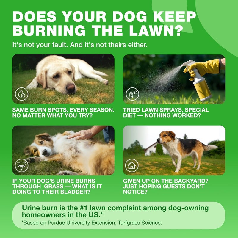 CHEWIA Grass Burn Spot Chews for Dogs - Dog Urine Neutralizer for Lawn - Grass Savers for Dog Urine - Dog Pee Lawn Spot Saver Caused by Dog Urine - Grass Treatment Rocks - Probiotics, Enzymes & Multivitamins - Image 2