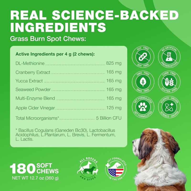 CHEWIA Grass Burn Spot Chews for Dogs - Dog Urine Neutralizer for Lawn - Grass Savers for Dog Urine - Dog Pee Lawn Spot Saver Caused by Dog Urine - Grass Treatment Rocks - Probiotics, Enzymes & Multivitamins - Image 5