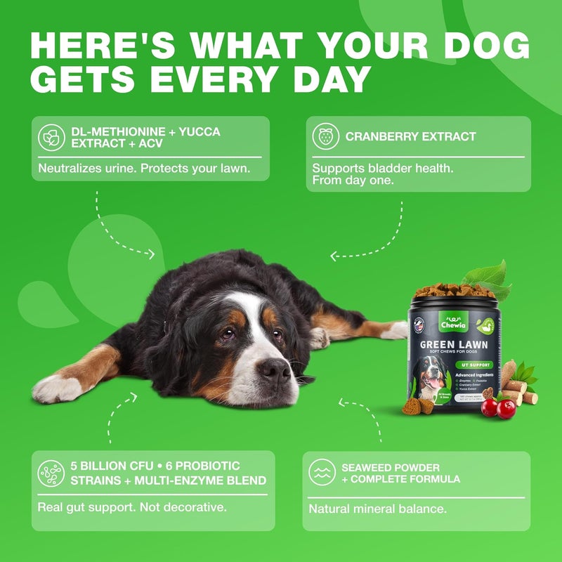 CHEWIA Grass Burn Spot Chews for Dogs - Dog Urine Neutralizer for Lawn - Grass Savers for Dog Urine - Dog Pee Lawn Spot Saver Caused by Dog Urine - Grass Treatment Rocks - Probiotics, Enzymes & Multivitamins - Image 4