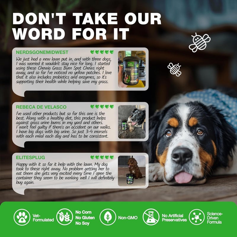 CHEWIA Grass Burn Spot Chews for Dogs - Dog Urine Neutralizer for Lawn - Grass Savers for Dog Urine - Dog Pee Lawn Spot Saver Caused by Dog Urine - Grass Treatment Rocks - Probiotics, Enzymes & Multivitamins - Image 3