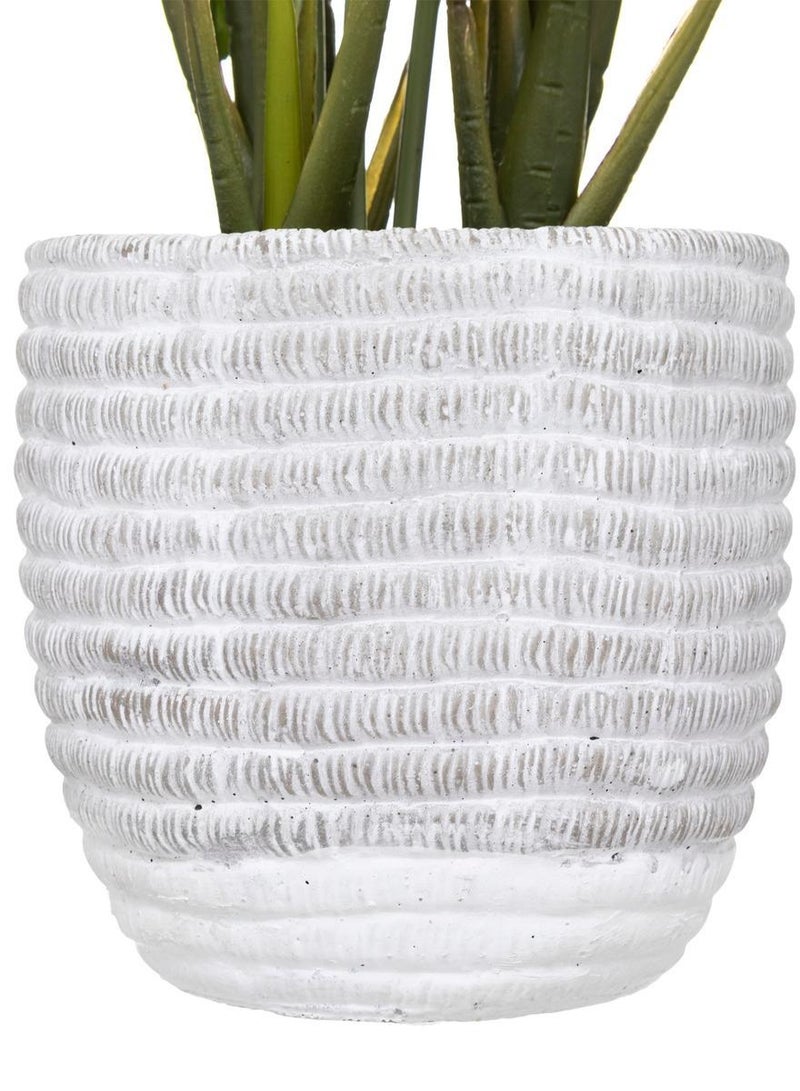 LOFT ARUM,PLANT,L30XP30XH54CMS,GREEN,CEMENT-185473 - Image 2