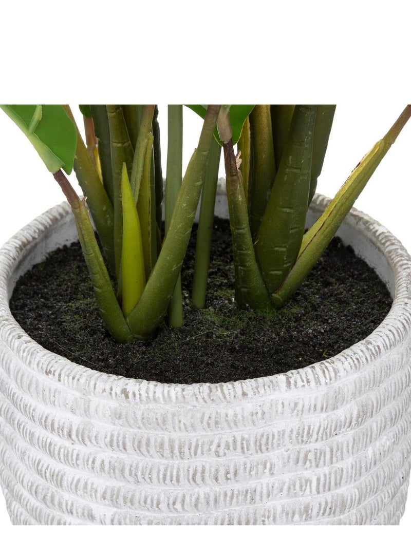 LOFT ARUM,PLANT,L30XP30XH54CMS,GREEN,CEMENT-185473 - Image 4