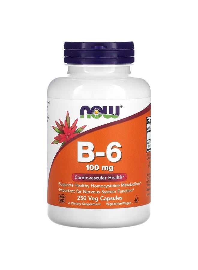 now Foods Vitamin B-6 - 250 Capsules, 100mg - Image 1