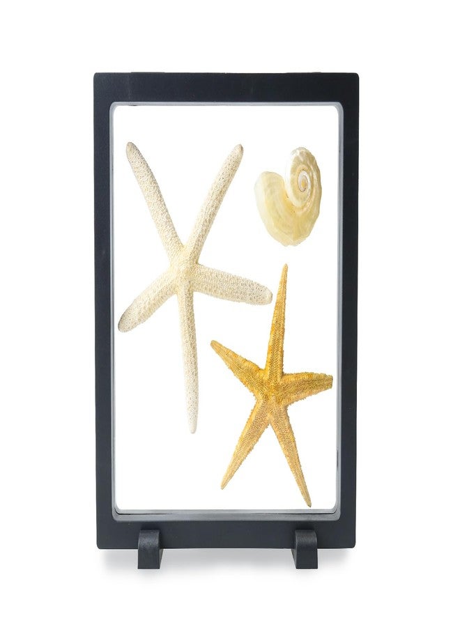 HillSpring 7" Floating Display Frame, Clear Display Case for Jewelry, Fossils, Rocks, Specimen, Shark Tooth, Freestanding Collectible Holder Stand - Image 1