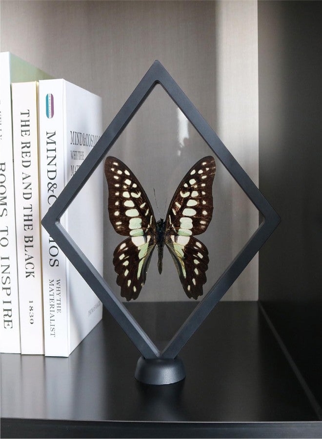 HillSpring 7" Floating Display Frame, Clear Display Case for Jewelry, Fossils, Rocks, Specimen, Shark Tooth, Freestanding Collectible Holder Stand - Image 2