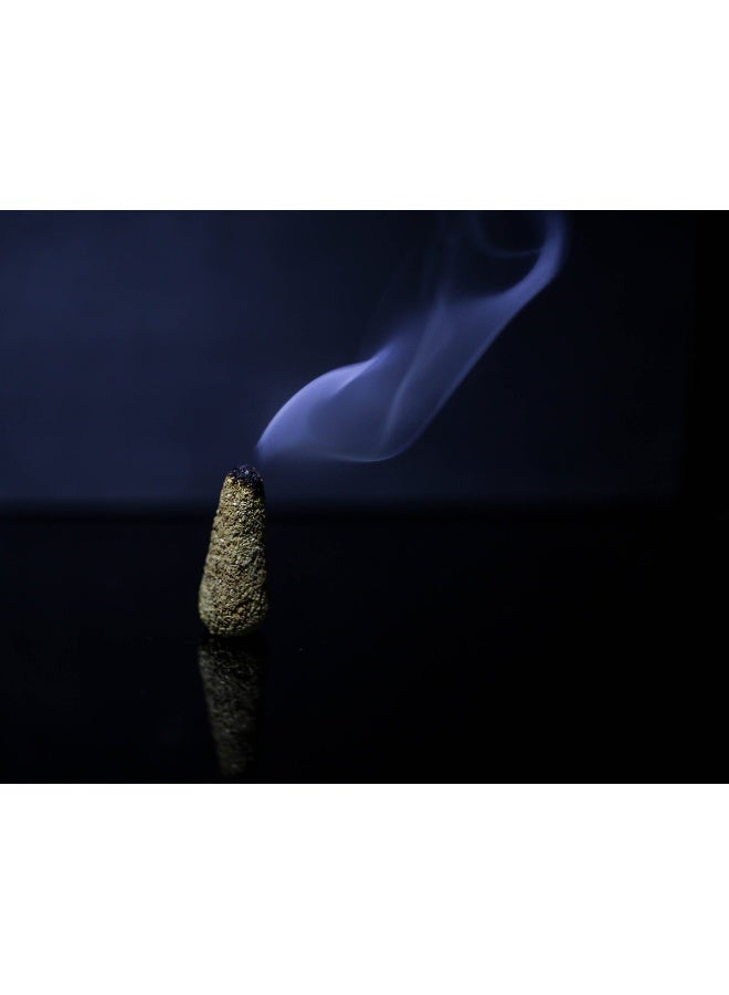 palosanto Palo Santo Holy Wood Incense Cones 30 Pcs - Image 2