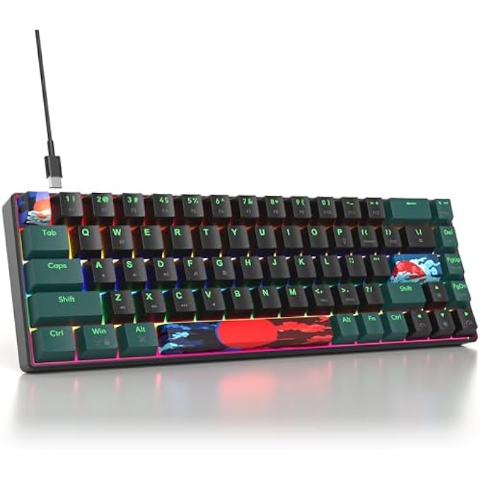 rayihni 65% MECHANICAL GAMING KEYBOARD WITH LINEAR RED SWITCH, WIRED MINI COMPACT KEYBOARD 60 PERCENT BACKLIT FOR LAPTOP DESKTOP PC GAMERSÏ¼ˆ68 SOUND WAVE B-RAINBOWÏ¼‰ - Image 1