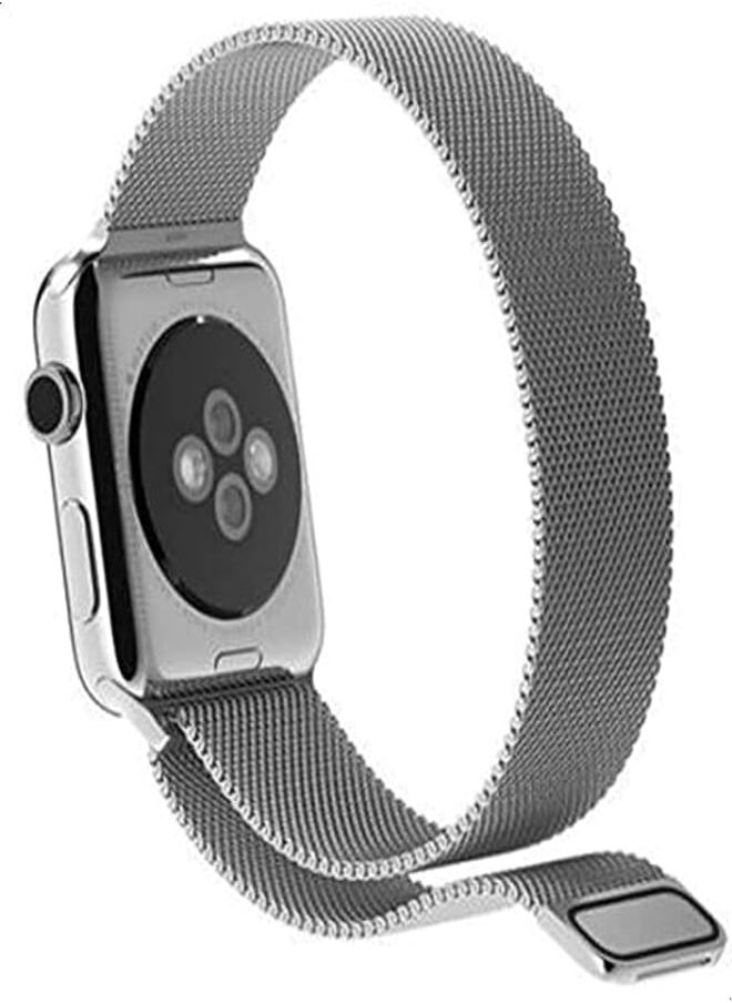 SBAQ - Sbaq Magnetic Stainless Steel Band for Apple Smart Watch 42 mm , Silver - Image 1