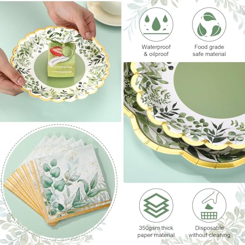Skybooly 144 Pcs 48 Guests Sage Green Party Plates and Napkins Scalloped Green Eucalyptus Paper Plates Napkins Disposable Tableware for Birthday Bridal Baby Shower Wedding Decorations Party Supplies - Image 5