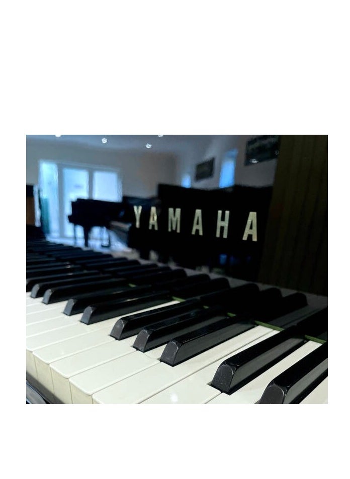 Yamaha NO 25 Grand Piano With Bench  - Image 2