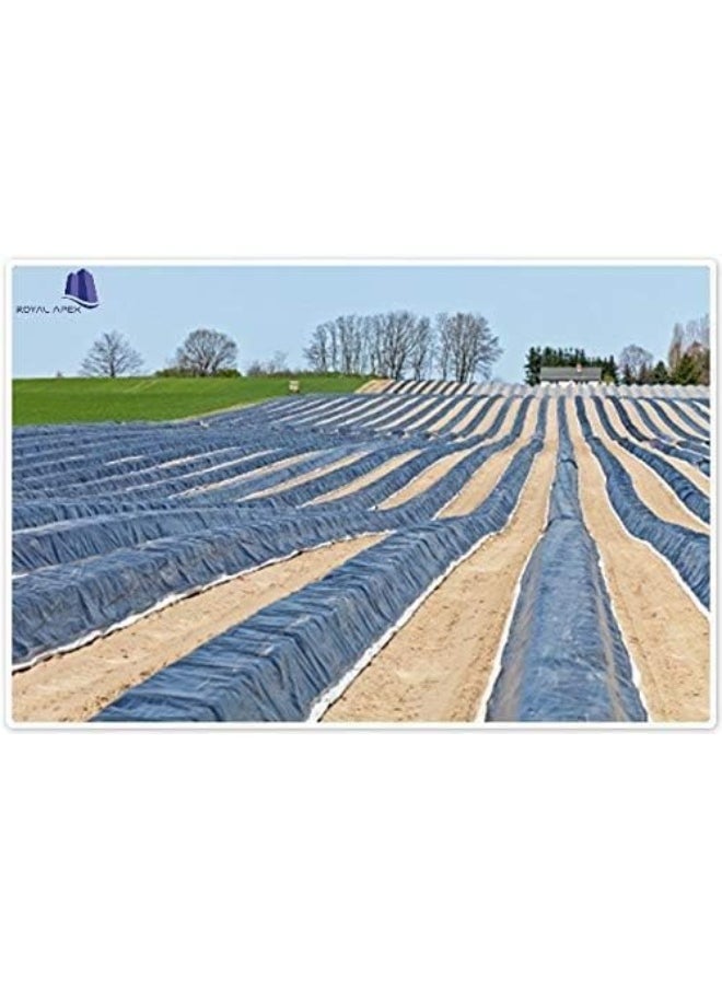 Royal Apex Waterproof Ground Cover Tent Shelter Dust-proof Rain Cover Tarpaulin Sheet (SILVER, (12X12))  - Image 3