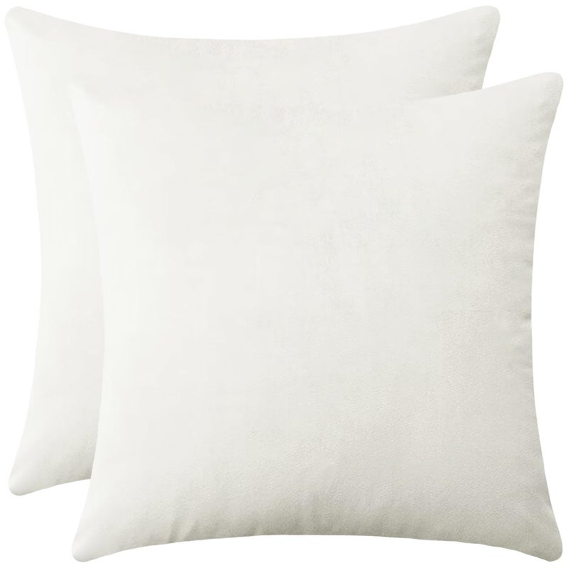 Artcest Set of 2 Soft Velvet Throw Pillow Covers Decorative Cushion Cases for Couch Bed and Living Room 18x18Ivory