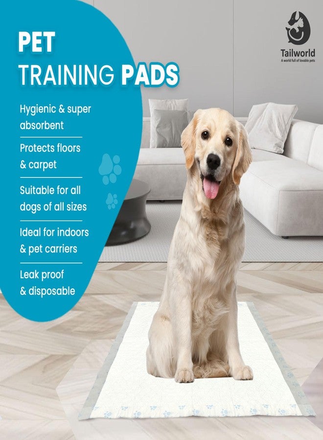 Tailworld Training Pads, with Odor Lock Technology & Super Absorbent Pee Pads, Leak-Proof Dog Potty Training Pads for Puppies, Dogs,Cats & Rabbits (60 X 60 cm) (30 Pcs) - Image 2